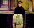 Harry Potter ♥  - leyton-family-3 fan art