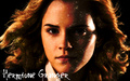 Hermione Granger - hermione-granger wallpaper