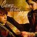 Hermione and Ron DH icon - hermione-granger icon