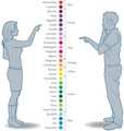 How Men and Women see Colors - random photo