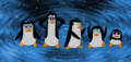 Starry Night... - penguins-of-madagascar fan art