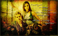 Stefan & Elena - the-vampire-diaries photo