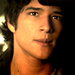 TW 'The Tell' - teen-wolf icon