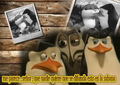 picture-kiss  - penguins-of-madagascar fan art