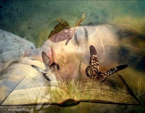  бабочка Dreaming <3