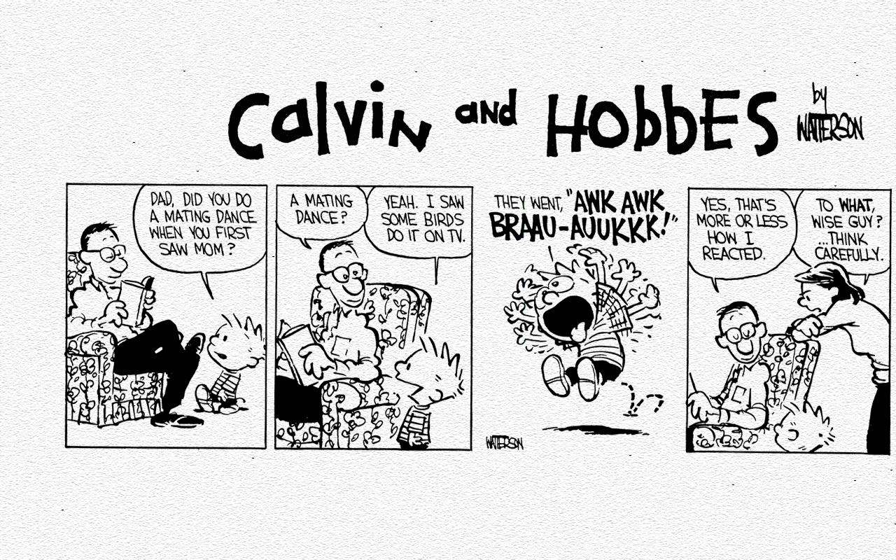 Final calvin and hobbes comic strip