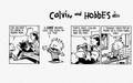 Calvin and Hobbes - random photo