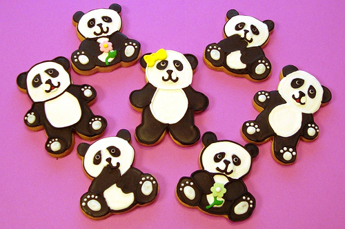  Cute Panda galletas