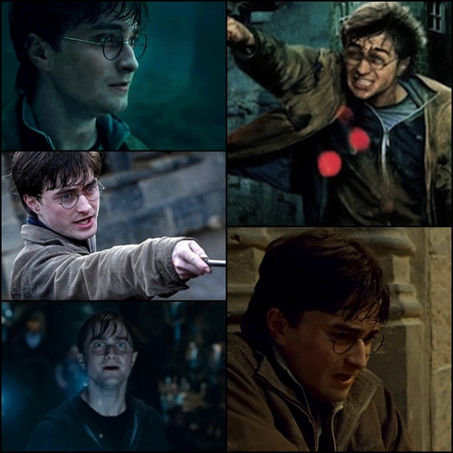  HP7 Harry