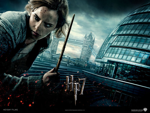  Harry Potter and the Deathly Hallows: Part 1, 2010