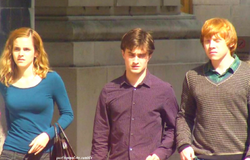  Harry,Ron&Hermione