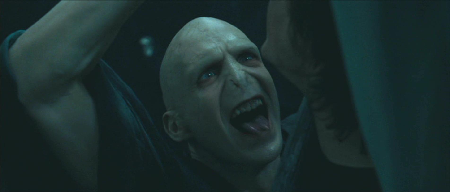 Lord Voldemort Images on Fanpop.