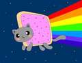 Nyan Cat - nyan-cat photo
