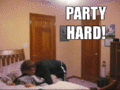Party hard - random photo