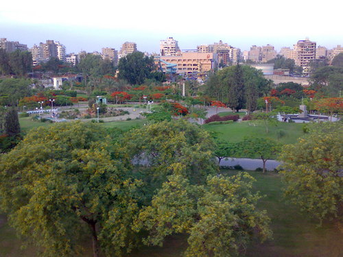 international garden of cairo
