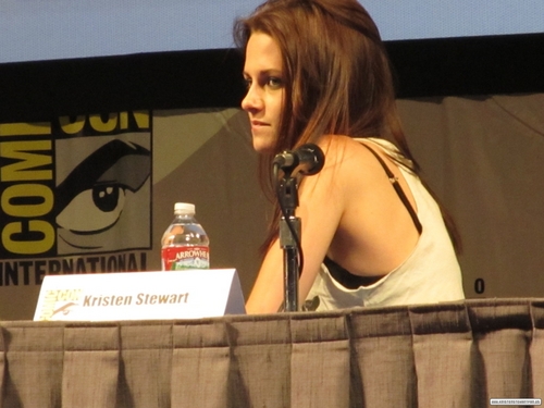  omic-Con 2011 'Snow White and the Huntsman ' Panel