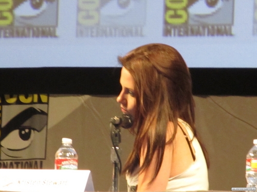  omic-Con 2011 'Snow White and the Huntsman ' Panel
