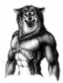 werewolf - werewolves photo