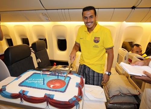  Birthday cake on plane