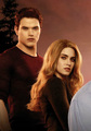 Breaking Dawn Part 1 Comic Con Poster [HQ] - nikki-reed photo