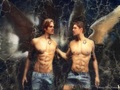 Dean & Sam ♥ - supernatural wallpaper