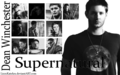 supernatural - Dean ♥ wallpaper
