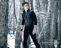 Edward in Breaking Dawn - harry-potter-vs-twilight photo