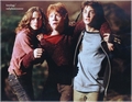 Harry Potter Cast - harry-potter photo