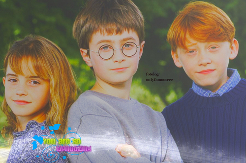  Harry Potter Cast