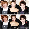 Harry Potter Cast - harry-potter photo