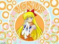 sailor-venus - Sailor Venus Bubble Letters wallpaper