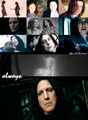Snape/Lily - severus-snape-and-lily-evans fan art