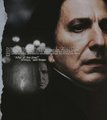 Snape/Lily - severus-snape-and-lily-evans fan art
