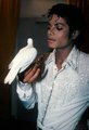 The Amazing Sweetheart MJ - michael-jackson photo