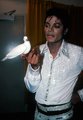 The Amazing Sweetheart MJ - michael-jackson photo