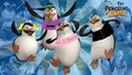 The Girls of Madagascar - penguins-of-madagascar fan art