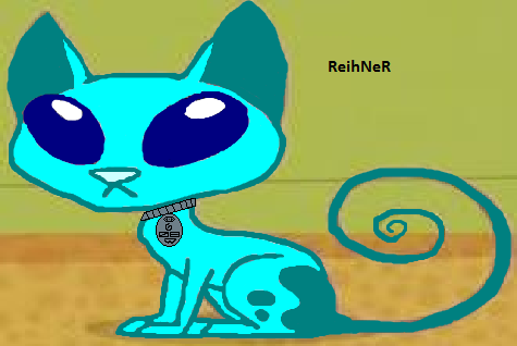  This is my kat ReihNeR