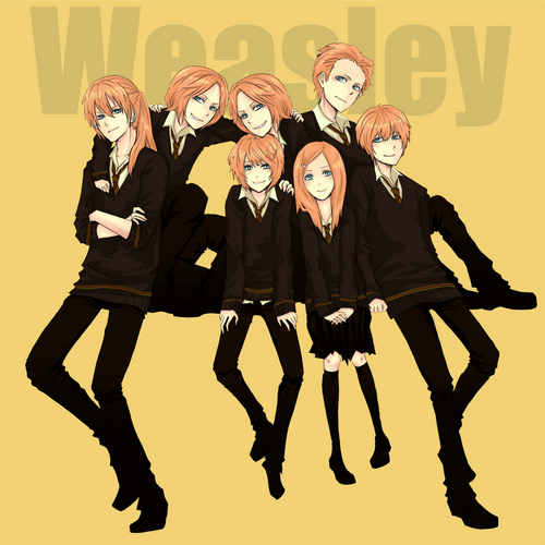  Weasley Members