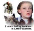 Wizard of OZ Assorted Photos - classic-movies photo