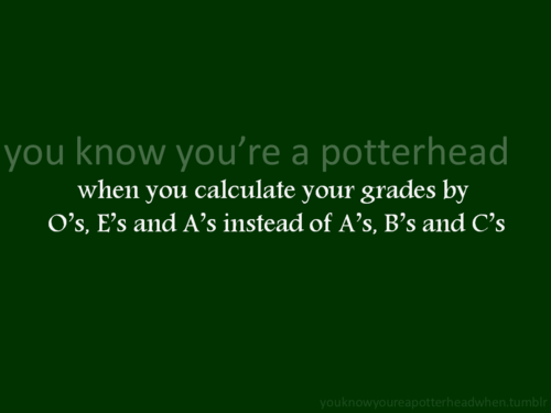  Du Know You're a Potterhead When...