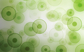 green - dots and circles wallpaper