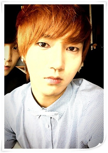 yesung ... handsome
