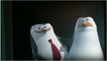  Say hello to the news man :-D - penguins-of-madagascar photo