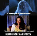 Dumbledore - harry-potter-vs-twilight photo