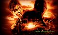 HP - Deathly Hallows - harry-potter photo