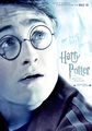 Harry Potter and the deathly hallows movie poster - harry-potter photo