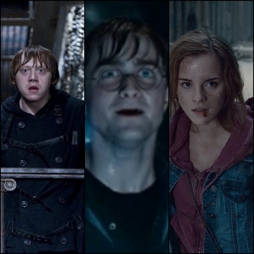  Harry,Ron And Hermione