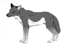 Katelover812 as a wolf - alpha-and-omega fan art