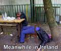 Meanwhile in Ireland - random photo