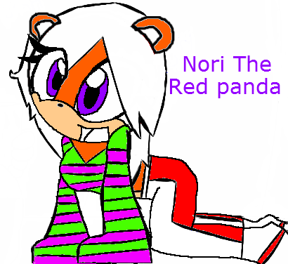  Nori The Red panda